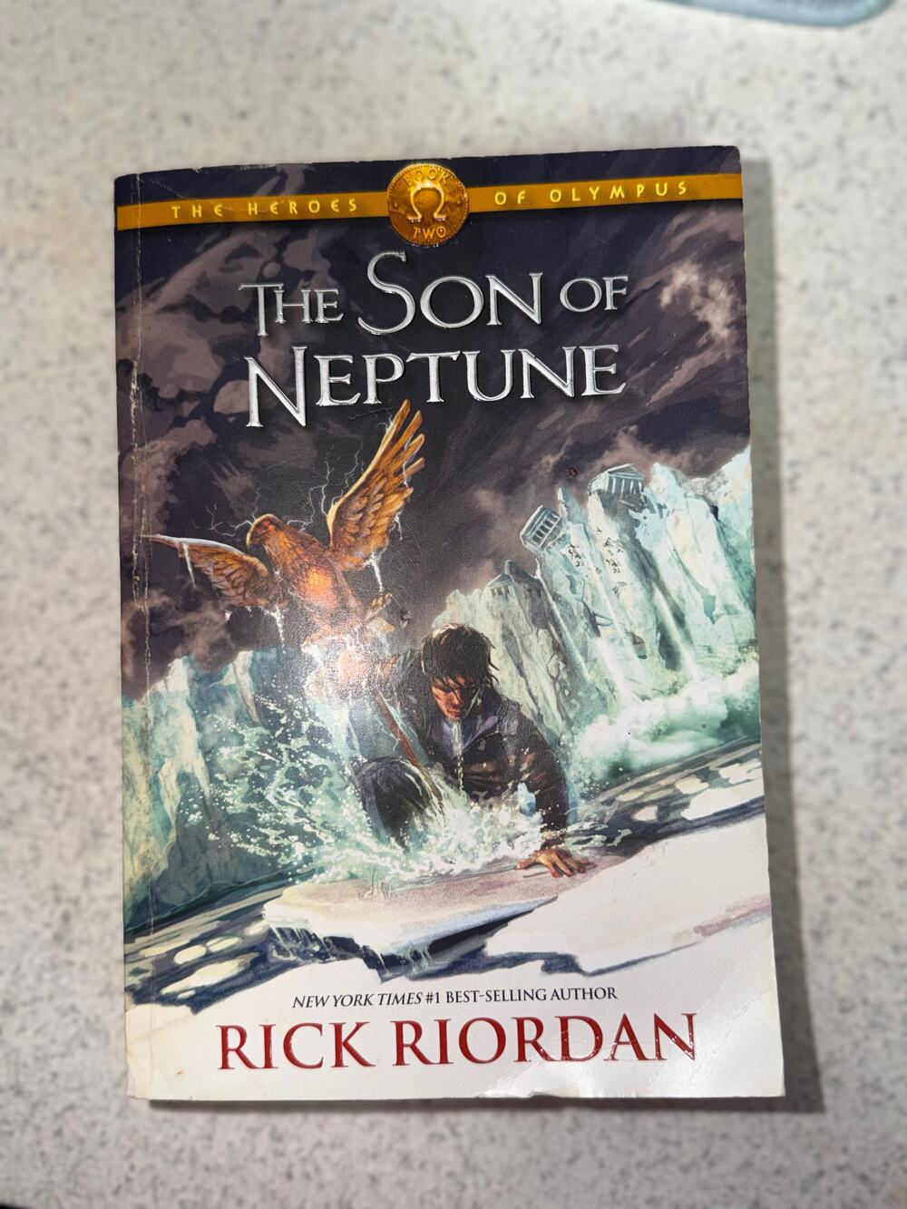 Rick Riordan Dark Blue Paperback Book The Son of Neptune Heroes of Olympus Book